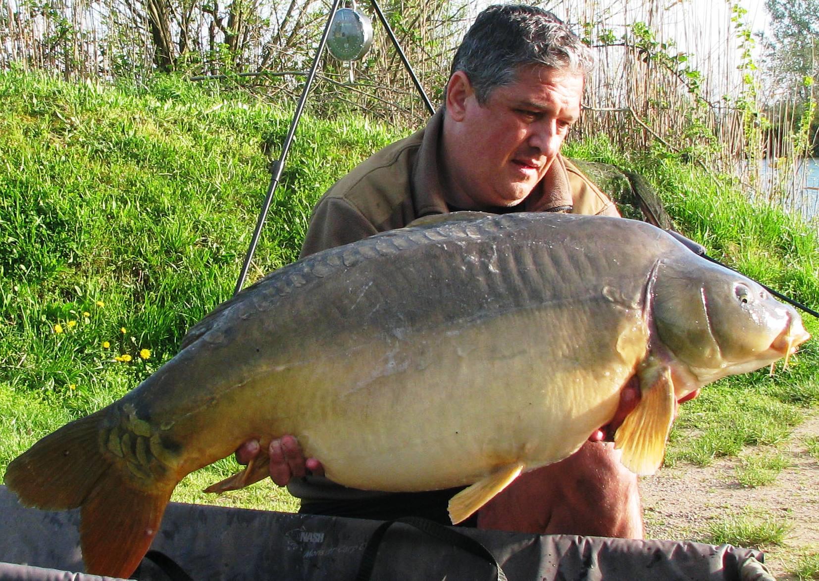 Pelagicevo Jezero  aprilie 2015 - img2019.JPG